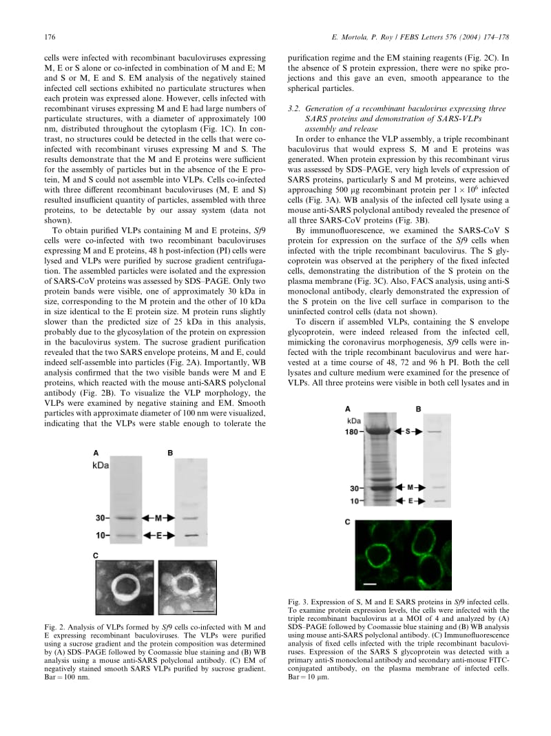 【病毒外文文献】2004 Efficient assembly and release of SARS coronavirus-like particles by a heterologous expression system_第3页