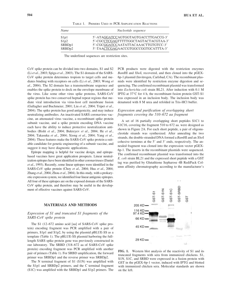 【病毒外文文献】2005 Identification and Antigenic Epitope Mapping of Immunodominant Region Amino Residues 510 to 672 on the Spike Protei_第2页