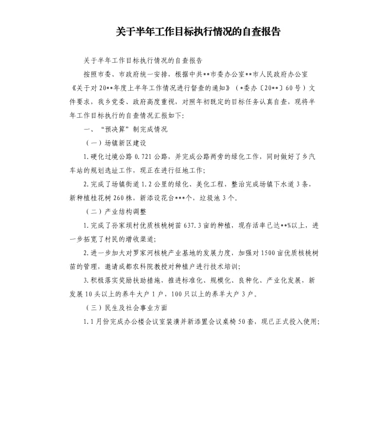 关于半年工作目标执行情况的自查报告.docx_第1页