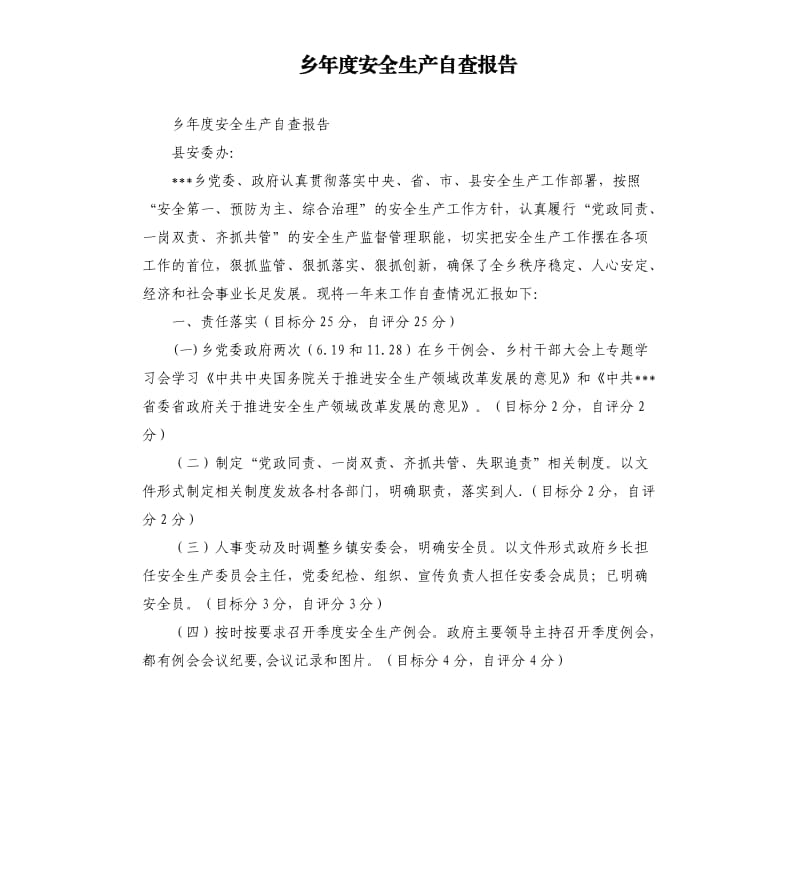 乡年度安全生产自查报告.docx_第1页