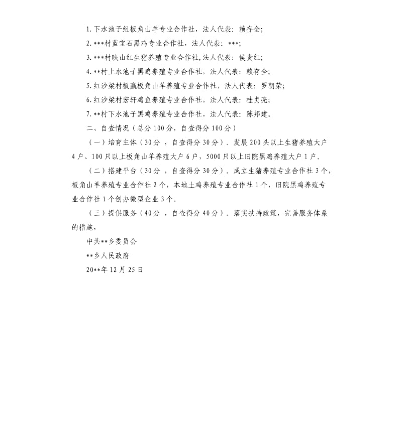 关于全民创业执行情况的自查报告.docx_第2页