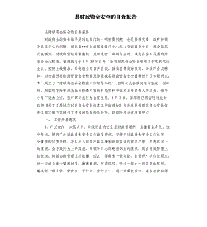 縣財政資金安全的自查報告.docx