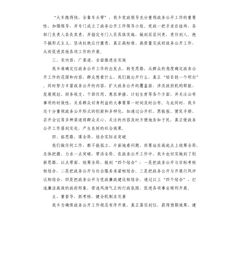 乡政府政务公开工作自查报告.docx_第2页