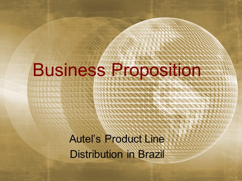 【计划书】巴西市场商业计划书-英文_第1页