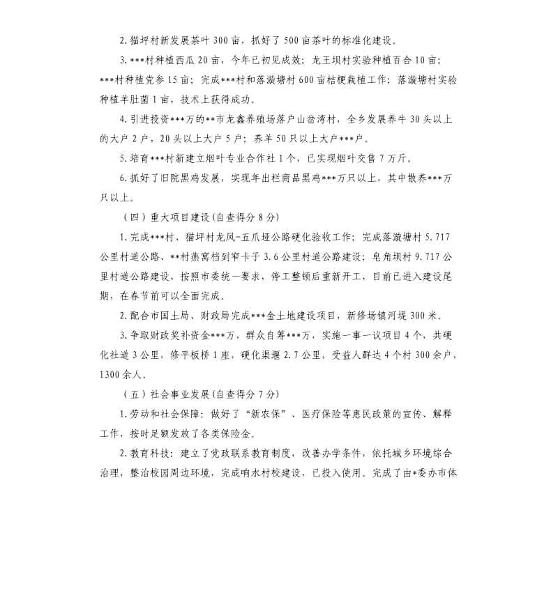 关于年度绩效执行情况的自查报告.docx_第3页