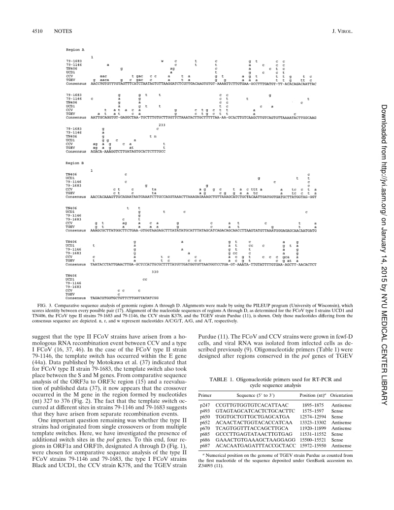 【病毒外文文献】1998 Feline coronavirus type II strains 79-1683 and 79-1146 originate from a double recombination between feline coronav_第3页