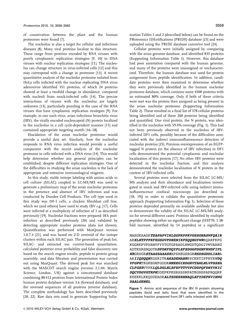 【病毒外文文献】2010 Elucidation of the avian nucleolar proteome by quantitative proteomics using SILAC and changes in cells infected wi_第2页
