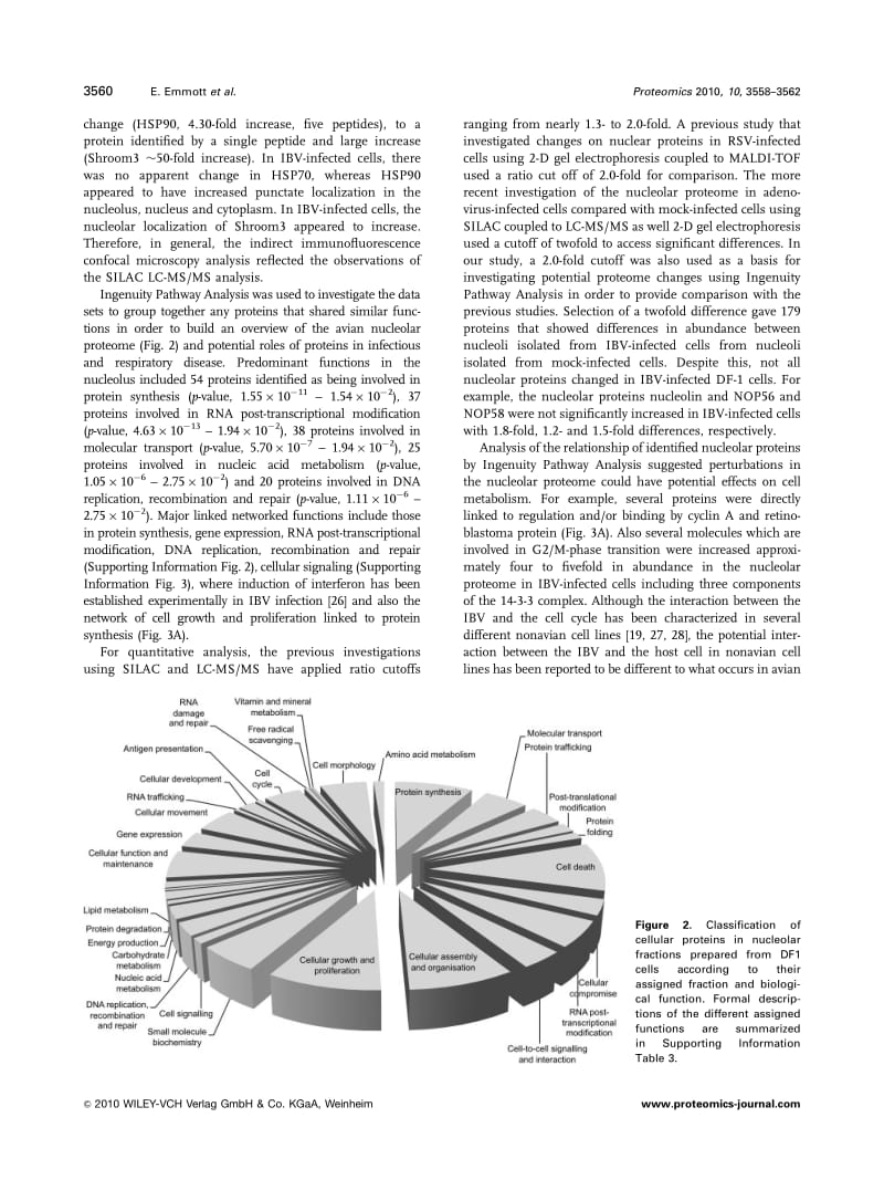 【病毒外文文献】2010 Elucidation of the avian nucleolar proteome by quantitative proteomics using SILAC and changes in cells infected wi_第3页