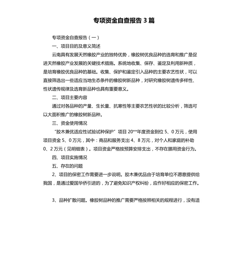 专项资金自查报告3篇.docx_第1页