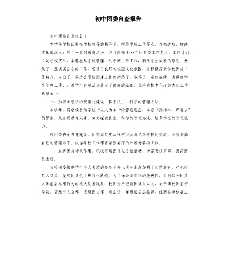 初中团委自查报告.docx_第1页