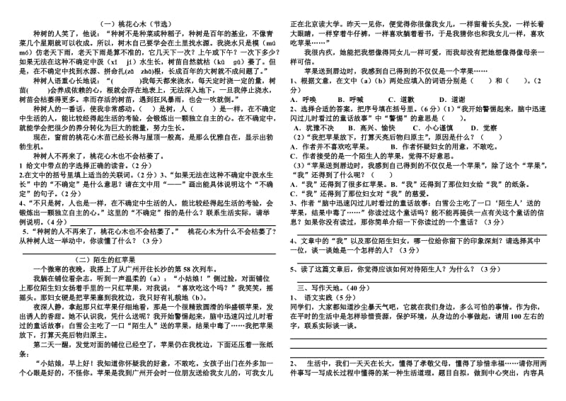 六年级语文毕业复习测试卷(四).doc_第2页