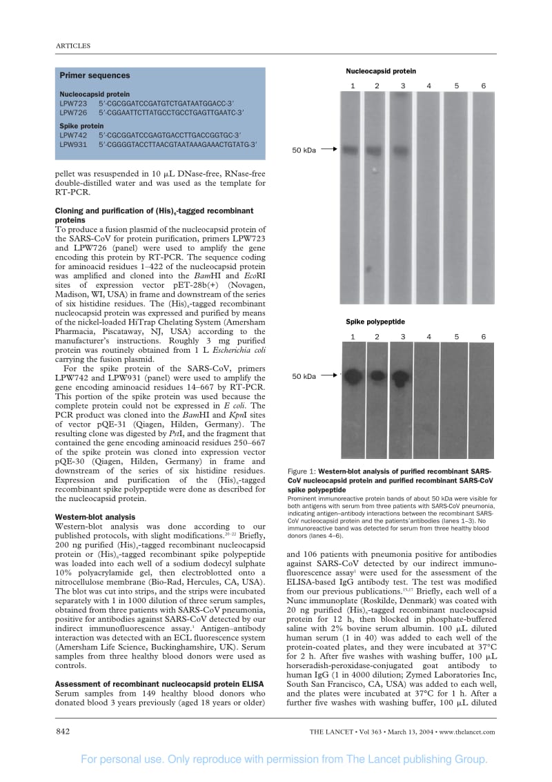 【病毒外文文献】2004 Relative rates of non-pneumonic SARS coronavirus infection and SARS coronavirus pneumonia_第2页