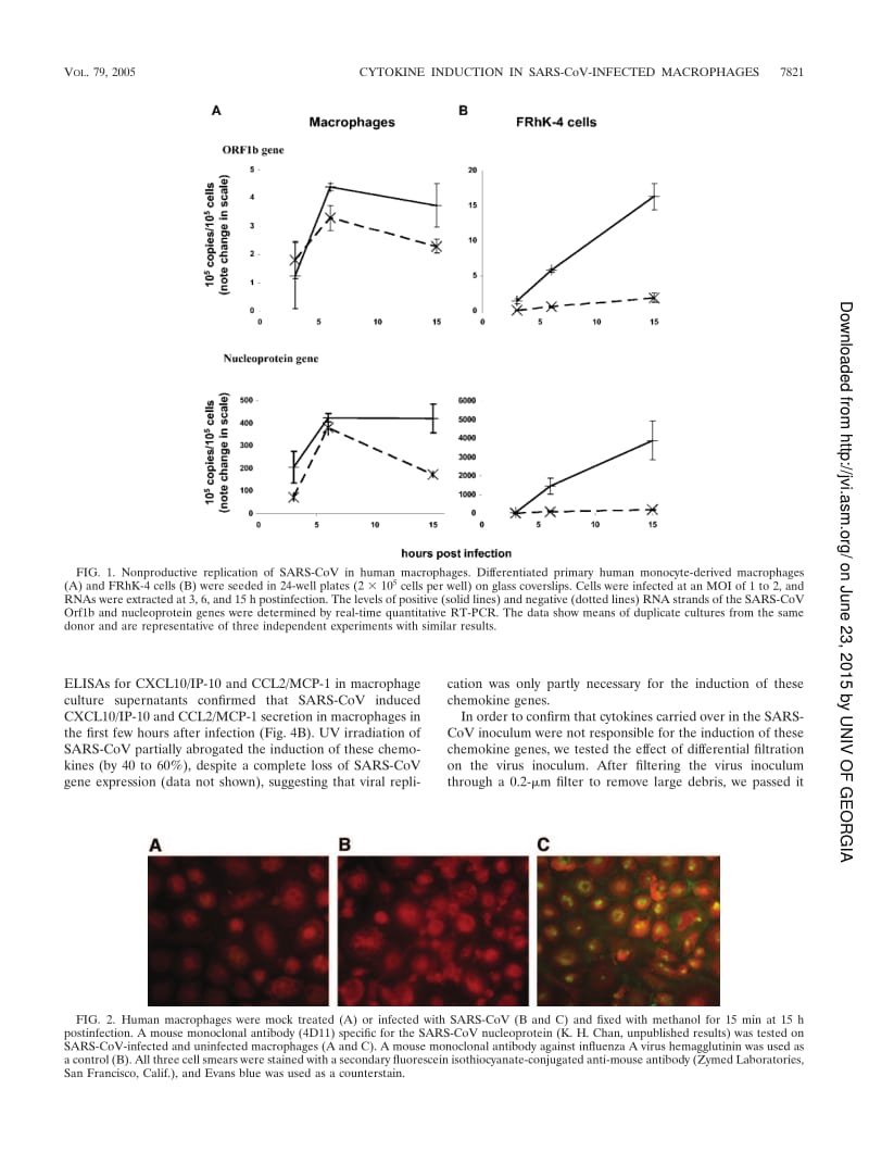 【病毒外文文献】2005 Cytokine Responses in Severe Acute Respiratory Syndrome Coronavirus-Infected Macrophages In Vitro_ Possible Relevan_第3页