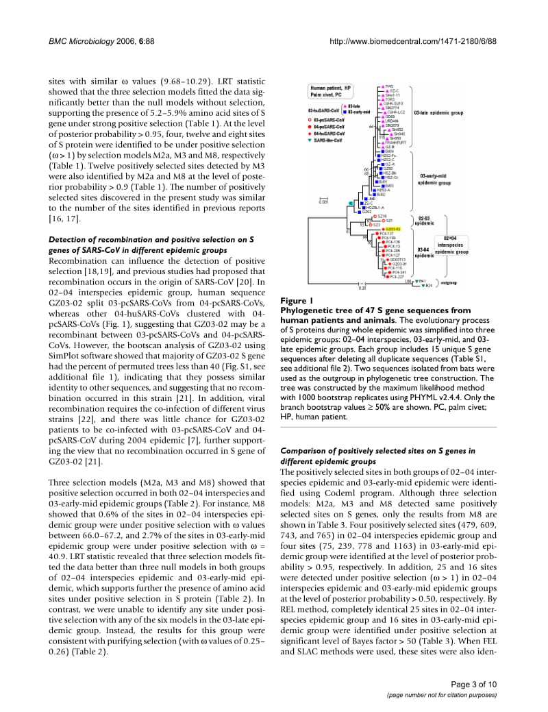 【病毒外文文献】2006 Adaptive evolution of the spike gene of SARS coronavirus_ changes in positively selected sites in different epidemi_第3页