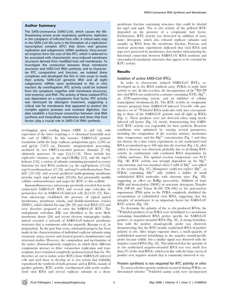 【病毒外文文献】2008 SARS-Coronavirus Replication_Transcription Complexes Are Membrane-Protected and Need a Host Factor for Activity In_第2页