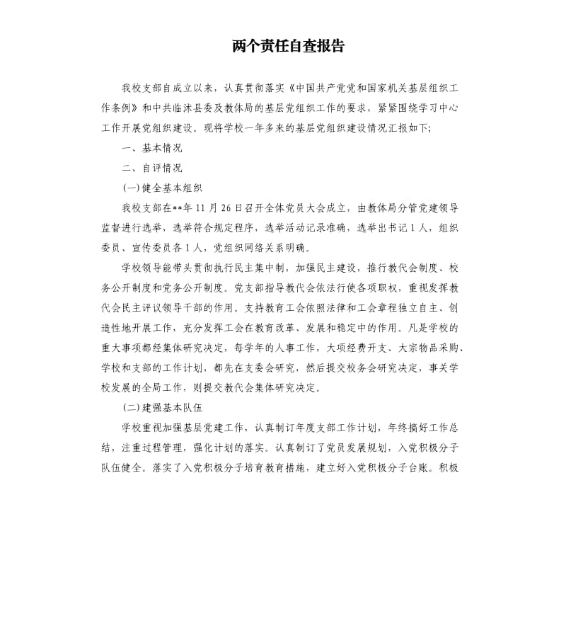 两个责任自查报告.docx_第1页