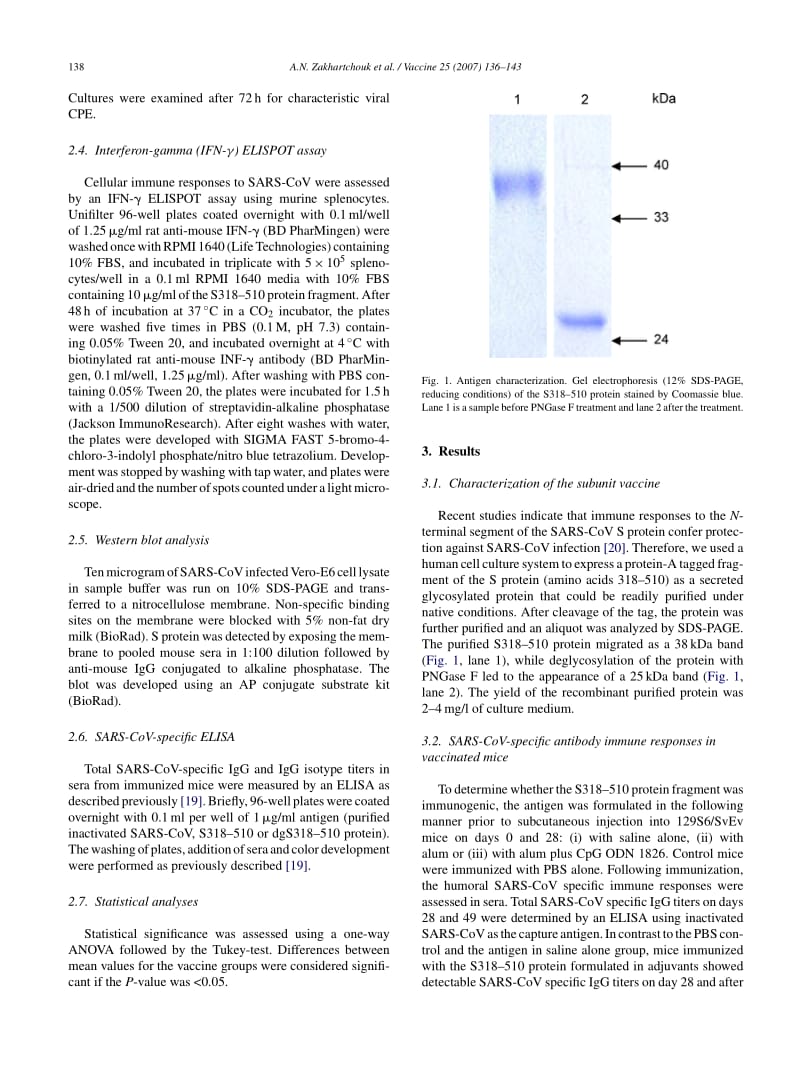 【病毒外文文献】2007 Immunogenicity of a receptor-binding domain of SARS coronavirus spike protein in mice_ Implications for a subunit v_第3页