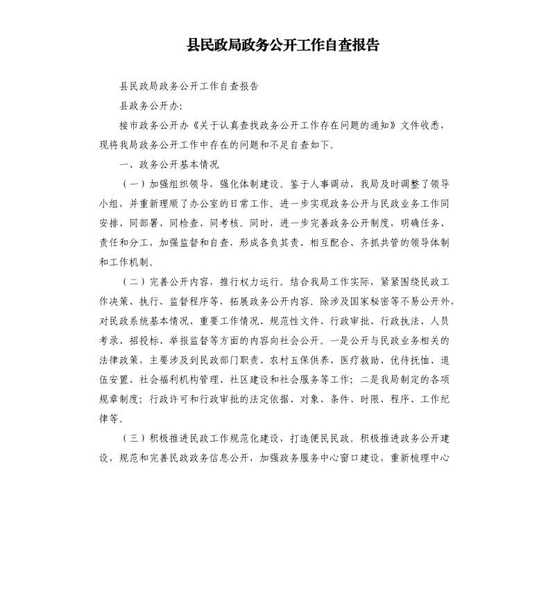 县民政局政务公开工作自查报告.docx_第1页