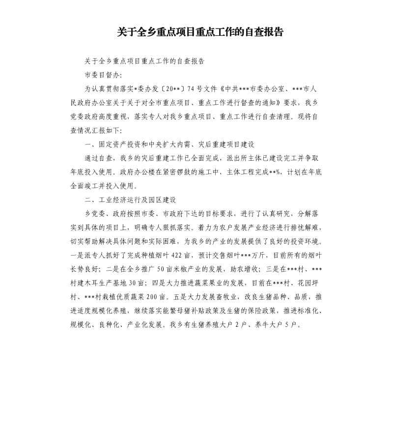 关于全乡重点项目重点工作的自查报告.docx_第1页