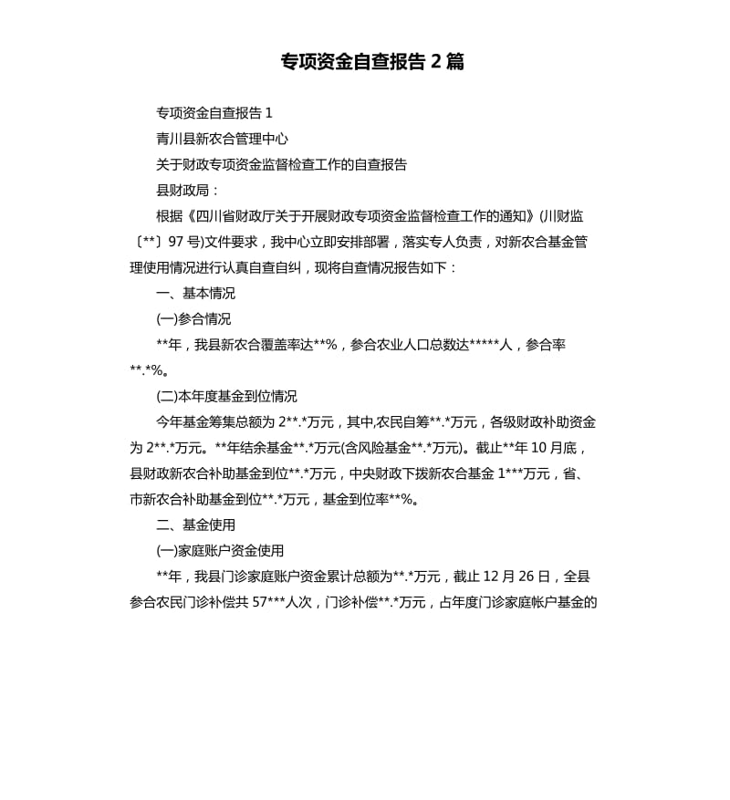 专项资金自查报告2篇.docx_第1页