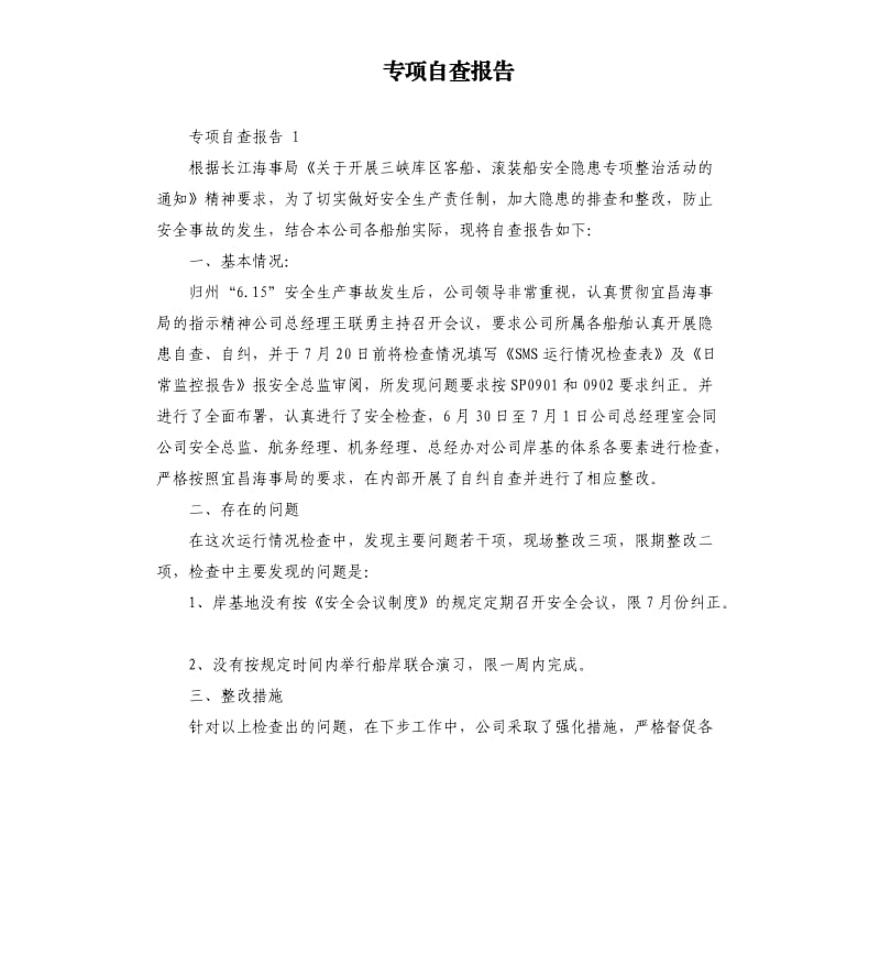 专项自查报告.docx_第1页