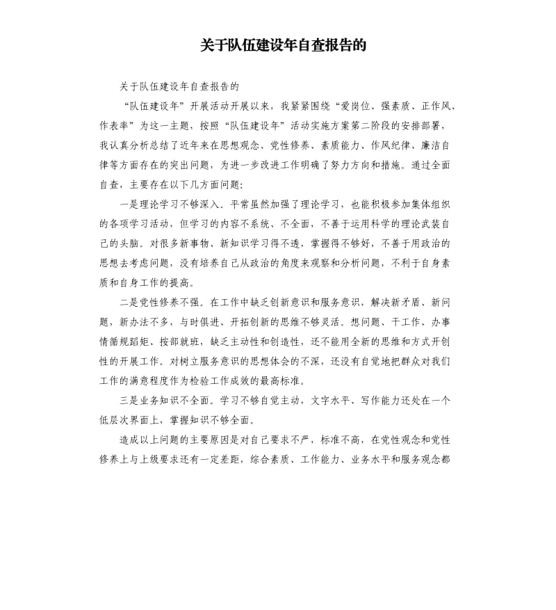 关于队伍建设年自查报告的.docx_第1页