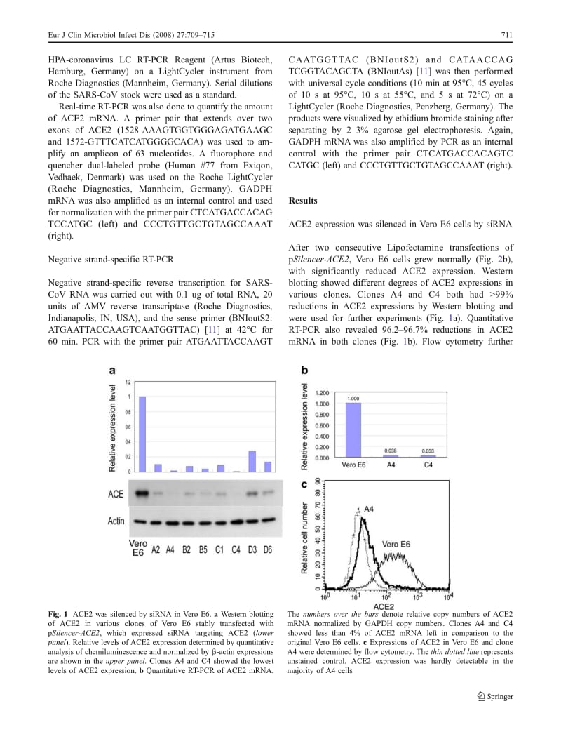 【病毒外文文献】2008 siRNA silencing of angiotensin-converting enzyme 2 reduced severe acute respiratory syndrome-associated coronavirus_第3页