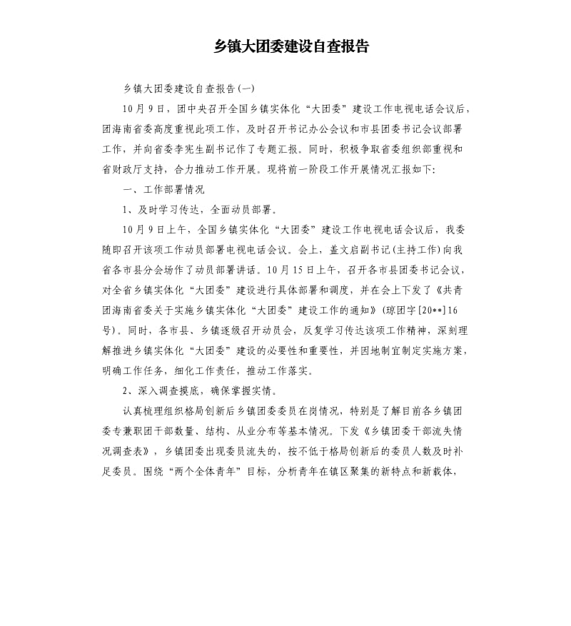 乡镇大团委建设自查报告.docx_第1页