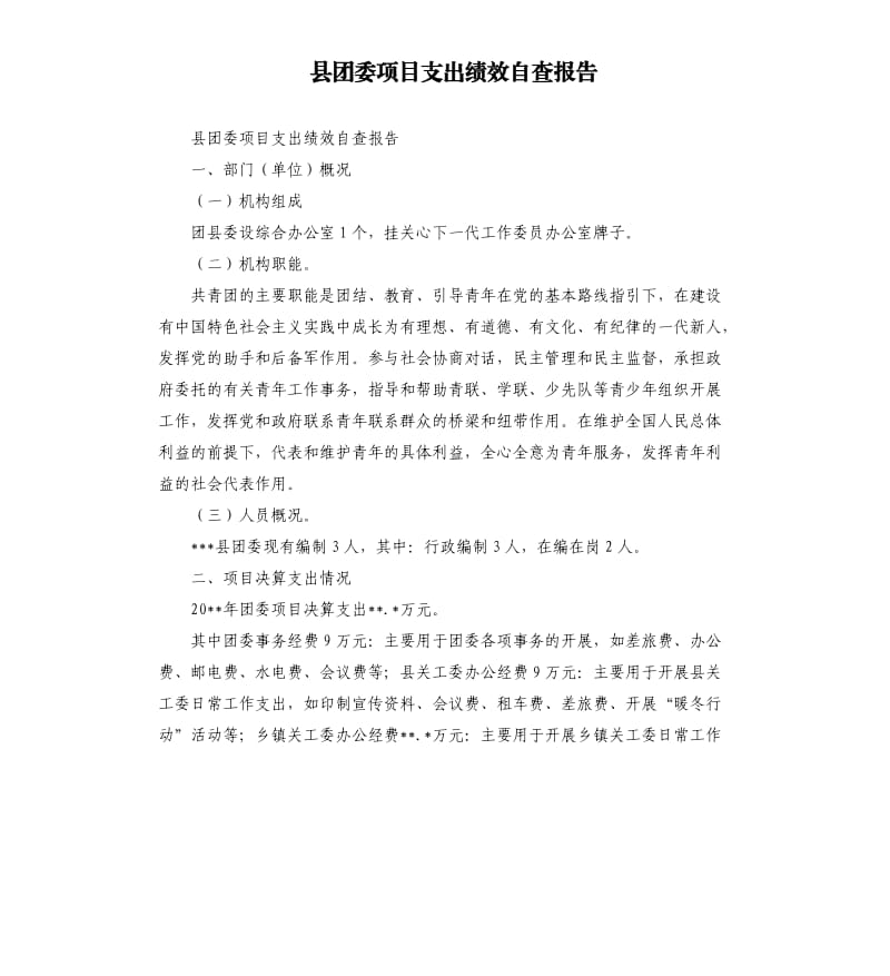 县团委项目支出绩效自查报告.docx_第1页