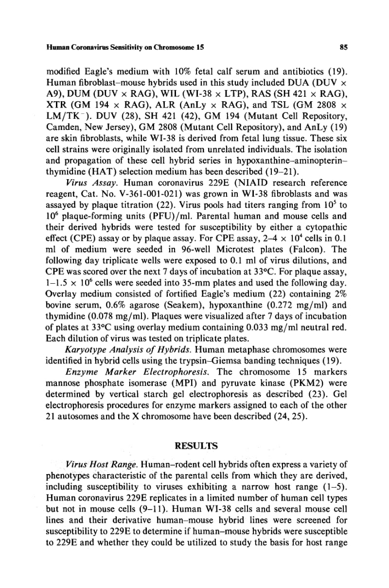 【病毒外文文献】1982 Coronavirus 229E susceptibility in man-mouse hybrids is located on human chromosome 15_第3页