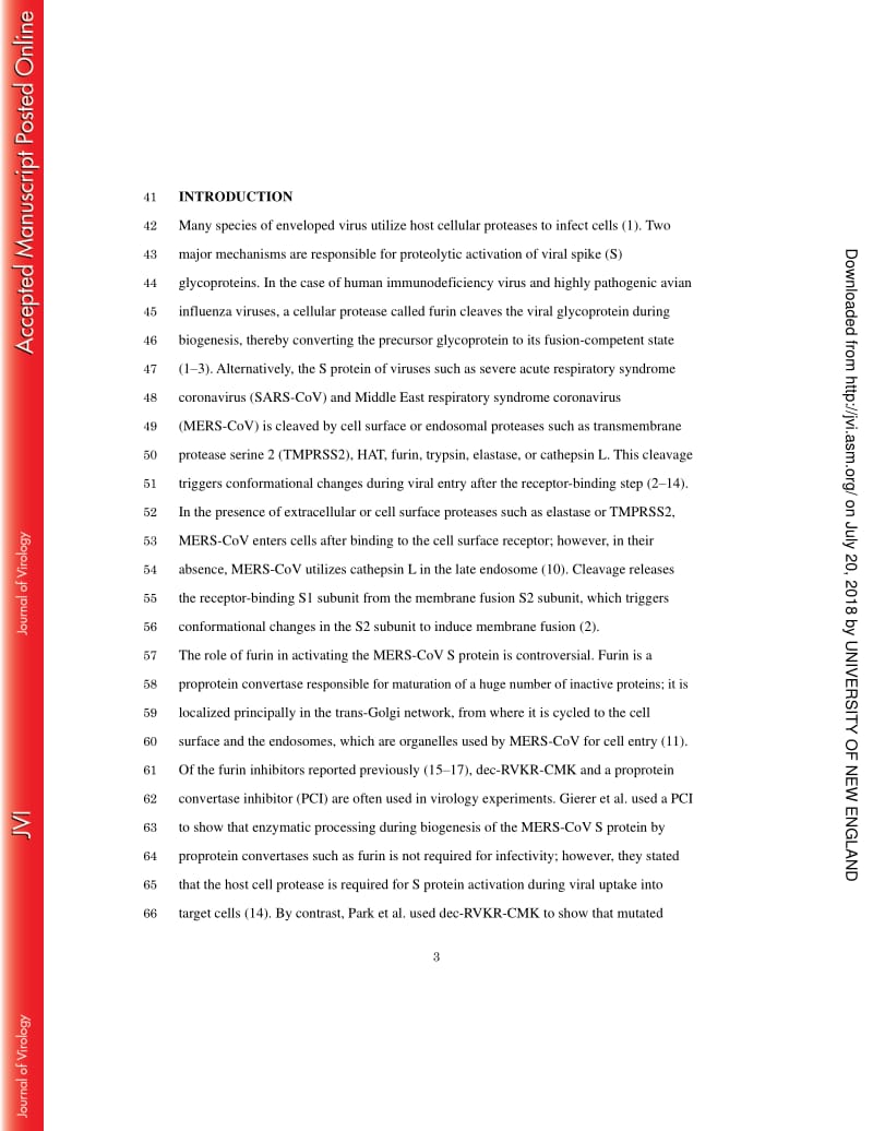 【病毒外文文献】2018 Middle East respiratory syndrome coronavirus spike protein is not activated directly by cellular furin during viral_第3页