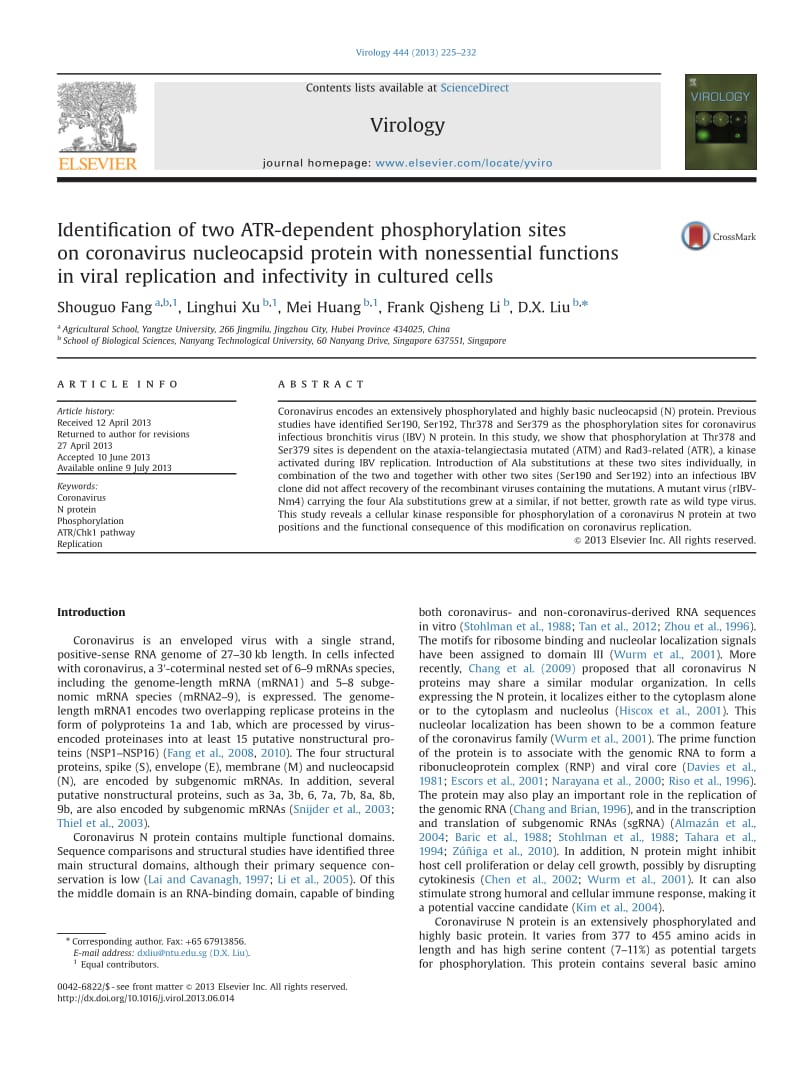 【病毒外文文献】2013 Identification of two ATR-dependent phosphorylation sites on coronavirus nucleocapsid protein with nonessential fun_第1页