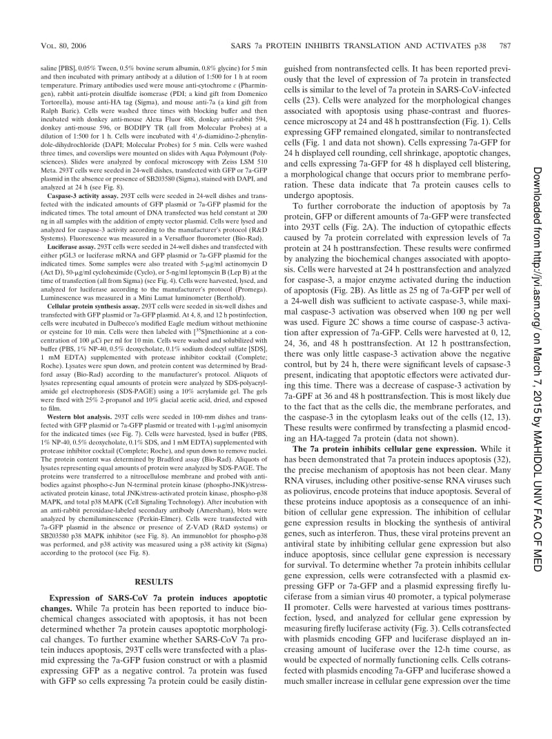 【病毒外文文献】2006 7a Protein of Severe Acute Respiratory Syndrome Coronavirus Inhibits Cellular Protein Synthesis and Activates p38 M_第3页