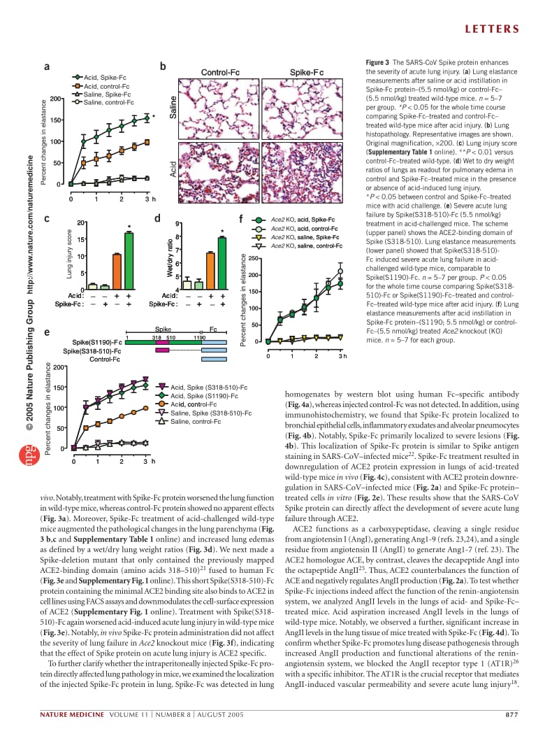 【病毒外文文献】2005 A crucial role of angiotensin converting enzyme 2 (ACE2) in SARS coronavirus_induced lung injury_第3页