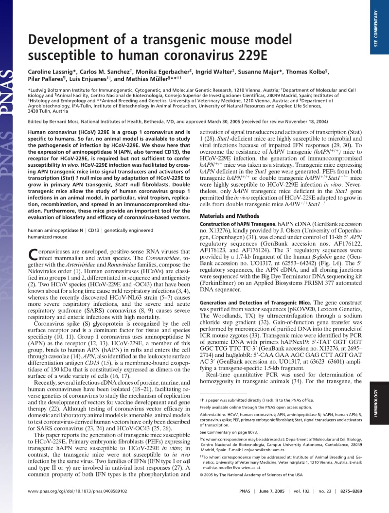【病毒外文文献】2005 From The Cover_ Development of a transgenic mouse model susceptible to human coronavirus 229E_第1页