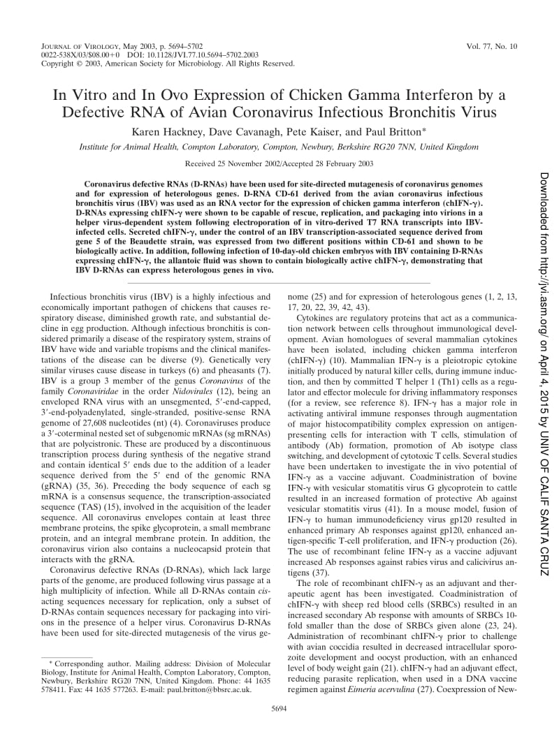 【病毒外文文献】2003 In Vitro and In Ovo Expression of Chicken Gamma Interferon by a Defective RNA of Avian Coronavirus Infectious Bronc_第1页