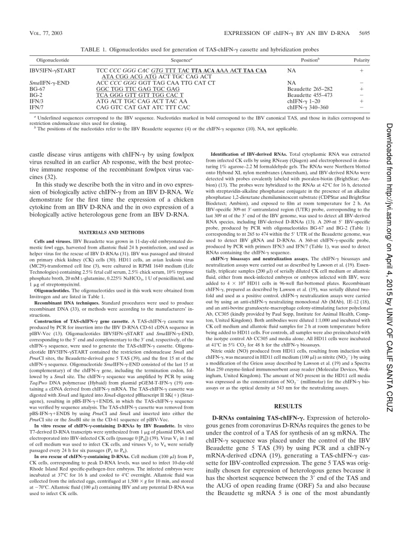 【病毒外文文献】2003 In Vitro and In Ovo Expression of Chicken Gamma Interferon by a Defective RNA of Avian Coronavirus Infectious Bronc_第2页