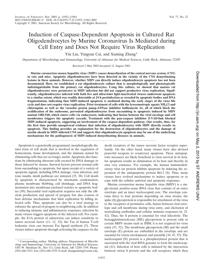 【病毒外文文獻(xiàn)】2003 Induction of Caspase-Dependent Apoptosis in Cultured Rat Oligodendrocytes by Murine Coronavirus Is Mediated during