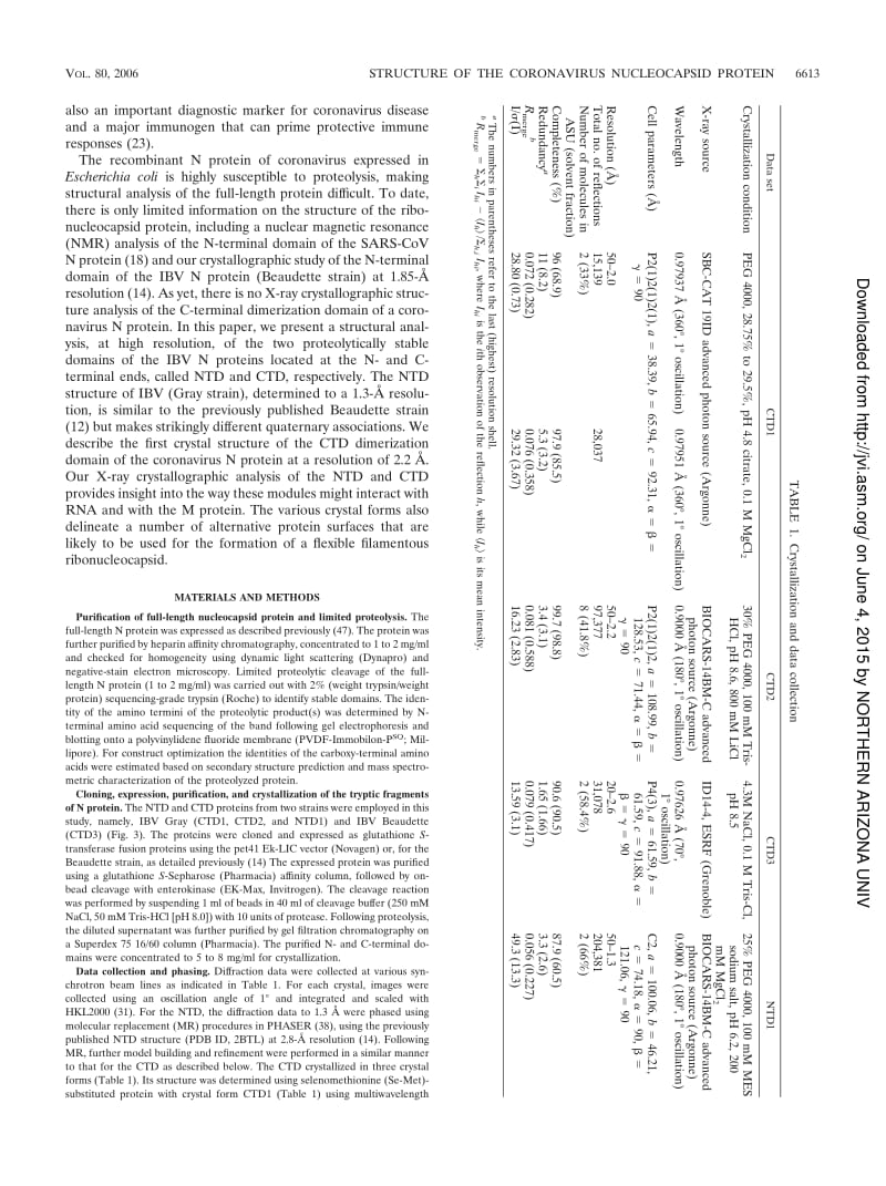 【病毒外文文献】2006 X-Ray Structures of the N- and C-Terminal Domains of a Coronavirus Nucleocapsid Protein_ Implications for Nucleocap_第2页