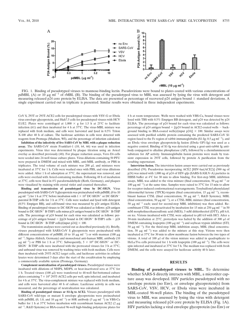 【病毒外文文献】2010 A Single Asparagine-Linked Glycosylation Site of the Severe Acute Respiratory Syndrome Coronavirus Spike Glycoprote_第3页