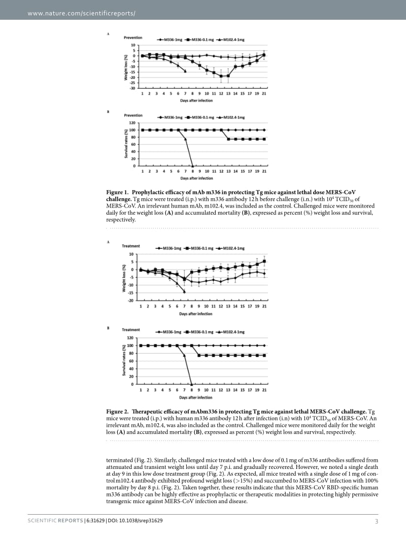 【病毒外文文献】2016 Passive Transfer of A Germline-like Neutralizing Human Monoclonal Antibody Protects Transgenic Mice Against Lethal_第3页