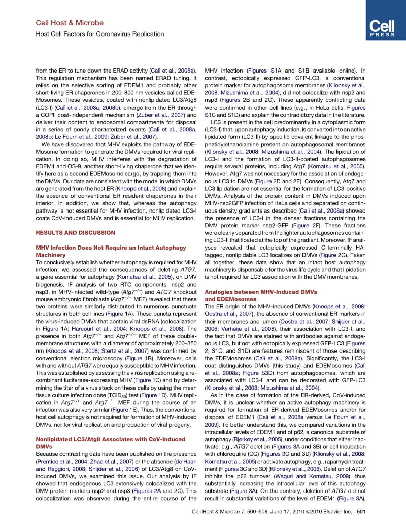 【病毒外文文献】2010 Coronaviruses Hijack the LC3-I-Positive EDEMosomes, ER-Derived Vesicles Exporting Short-Lived ERAD Regulators, for_第2页