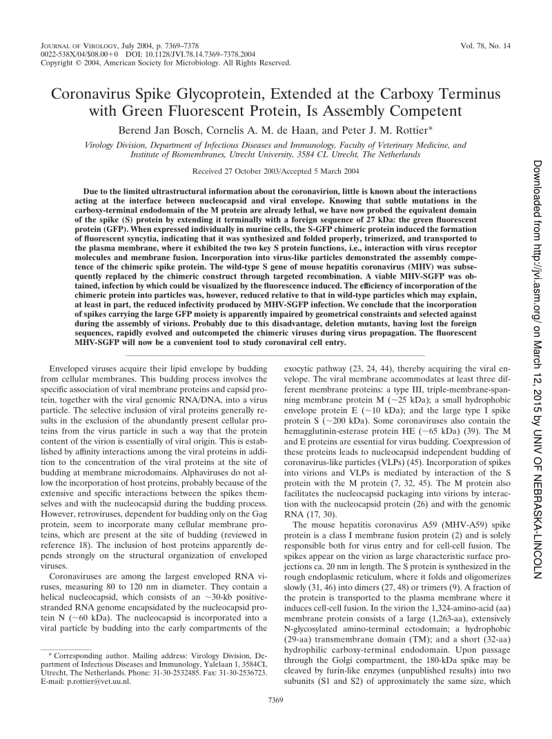 【病毒外文文献】2004 Coronavirus Spike Glycoprotein, Extended at the Carboxy Terminus with Green Fluorescent Protein, Is Assembly Compet_第1页