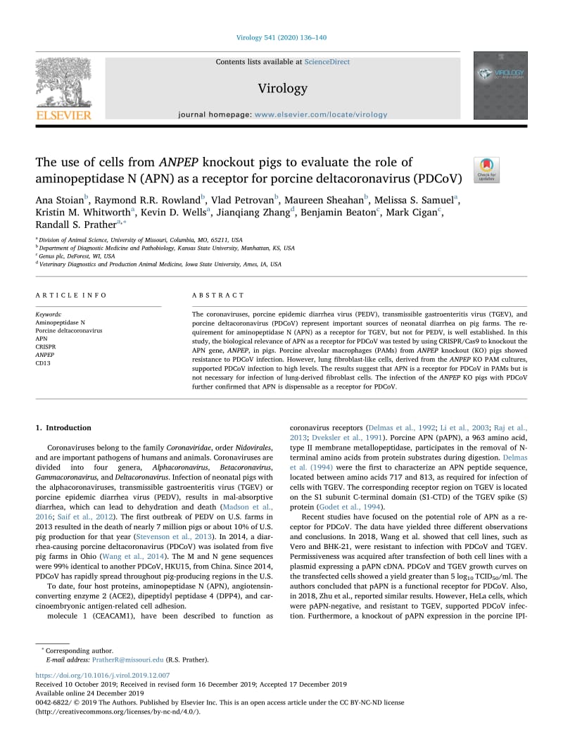 【病毒外文文献】2020 The use of cells from ANPEP knockout pigs to evaluate the role of aminopeptidase N (APN) as a receptor for porcine_第1页