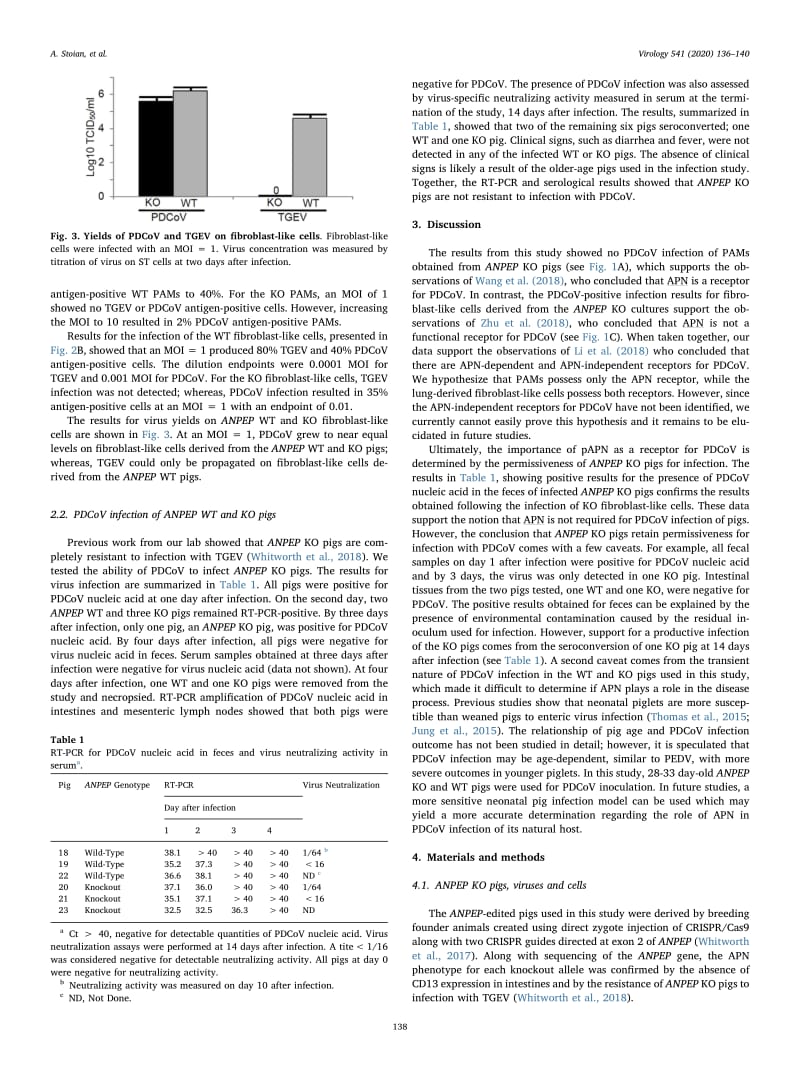 【病毒外文文献】2020 The use of cells from ANPEP knockout pigs to evaluate the role of aminopeptidase N (APN) as a receptor for porcine_第3页