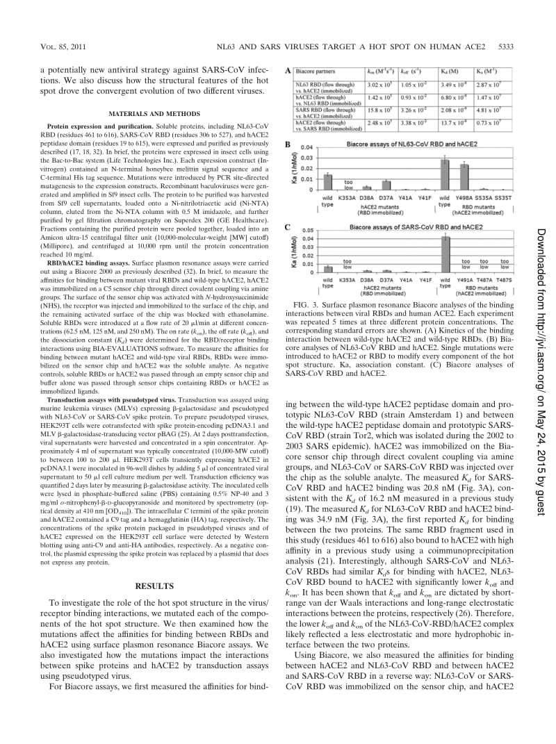 【病毒外文文献】2011 A Virus-Binding Hot Spot on Human Angiotensin-Converting Enzyme 2 Is Critical for Binding of Two Different Coronavi_第3页