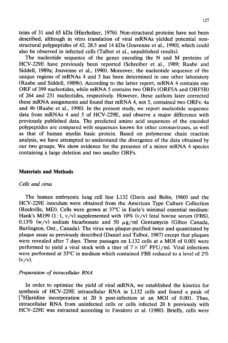 【病毒外文文献】1992 Sequence analysis of human coronavirus 229E mRNAs 4 and 5_ evidence for polymorphism and homology with myelin basic_第3页