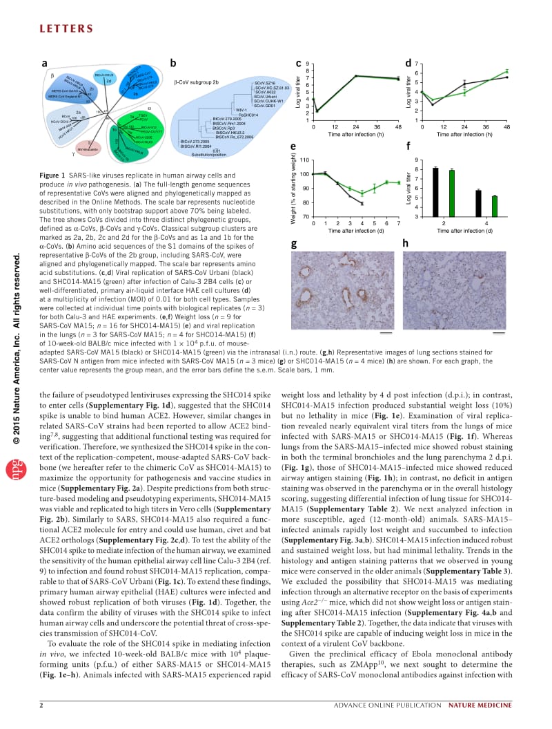 【病毒外文文献】2015 A SARS-like cluster of circulating bat coronaviruses shows potential for human emergence_第2页