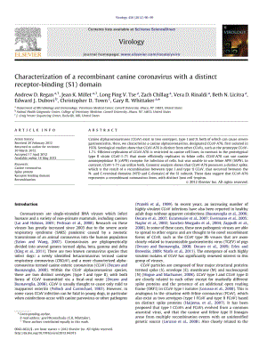 【病毒外文文獻(xiàn)】2012 Characterization of a recombinant canine coronavirus with a distinct receptor-binding (S1) domain