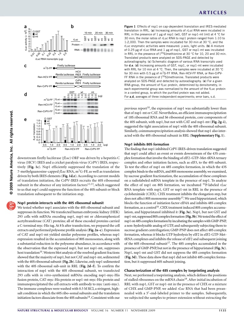 【病毒外文文献】2009 A two-pronged strategy to suppress host protein synthesis by SARS coronavirus Nsp1 protein_第2页